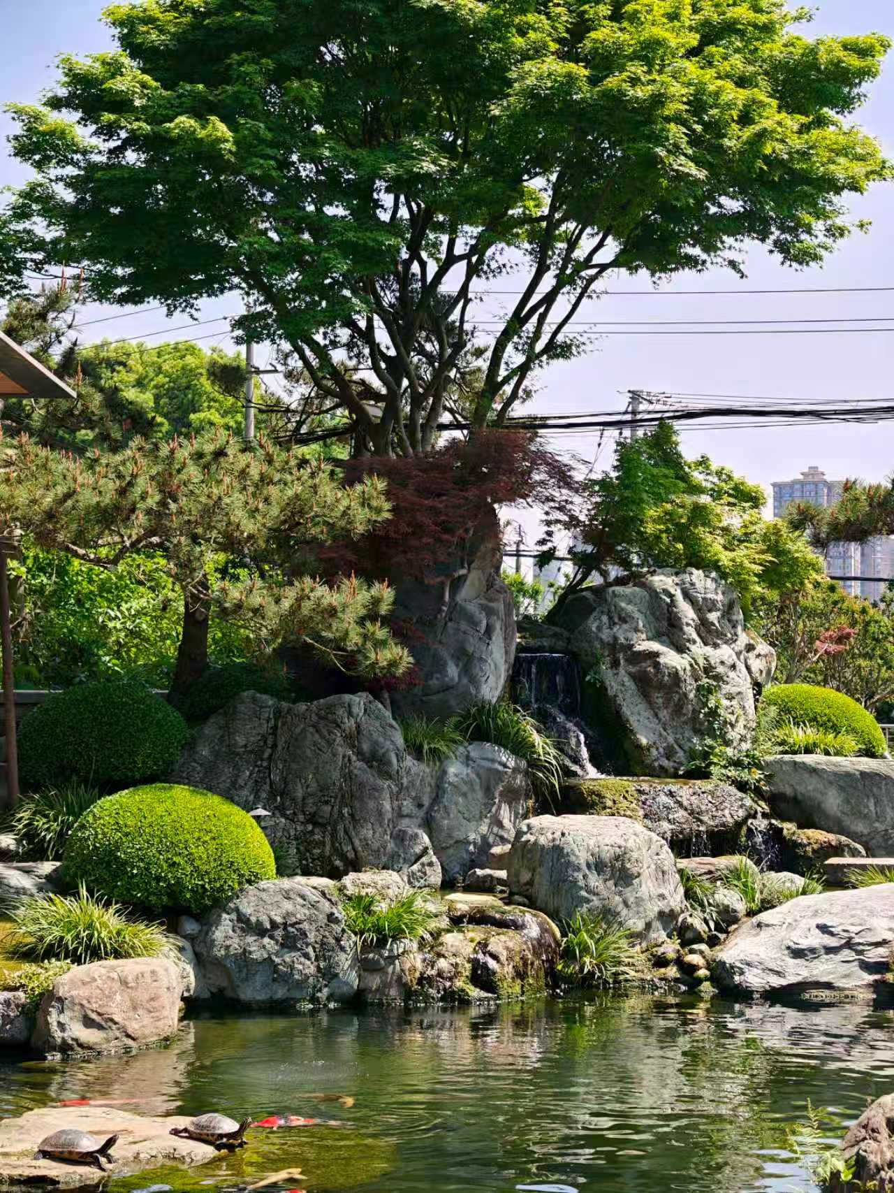 先令球应用于中式庭院山水景观